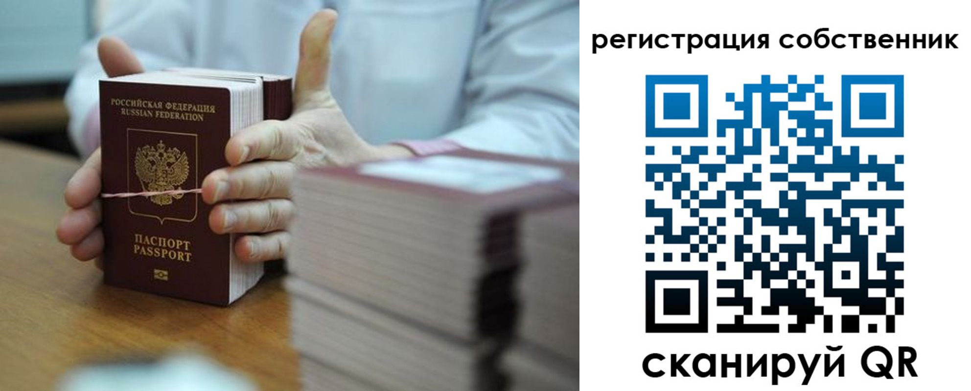 временная регистрация гарантия в Мурино